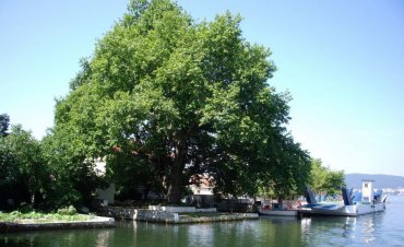 Islet of Ioannina